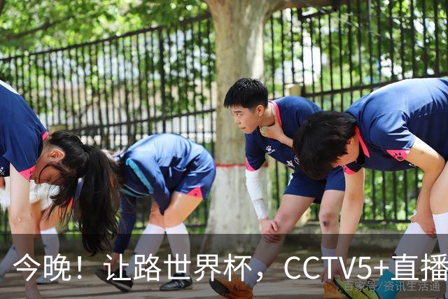 今晚！让路世界杯，CCTV5+直播中国男篮VS日本，赵继伟+杨瀚森领衔