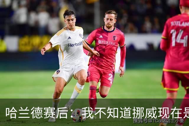 哈兰德赛后：我不知道挪威现在是几点，但我希望大家都在庆祝